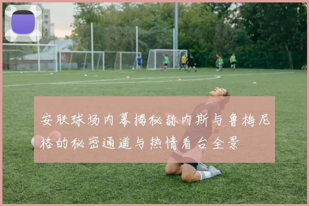 安联球场内幕揭秘赫内斯与鲁梅尼格的秘密通道与热情看台全景